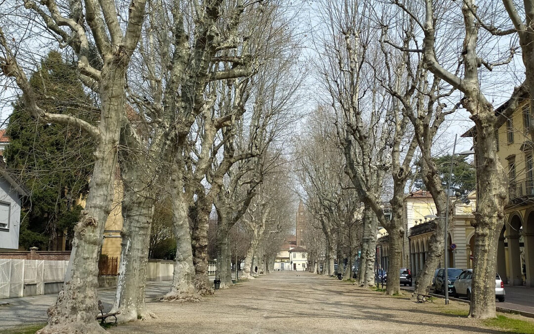Traslochi locali a Ciriè
