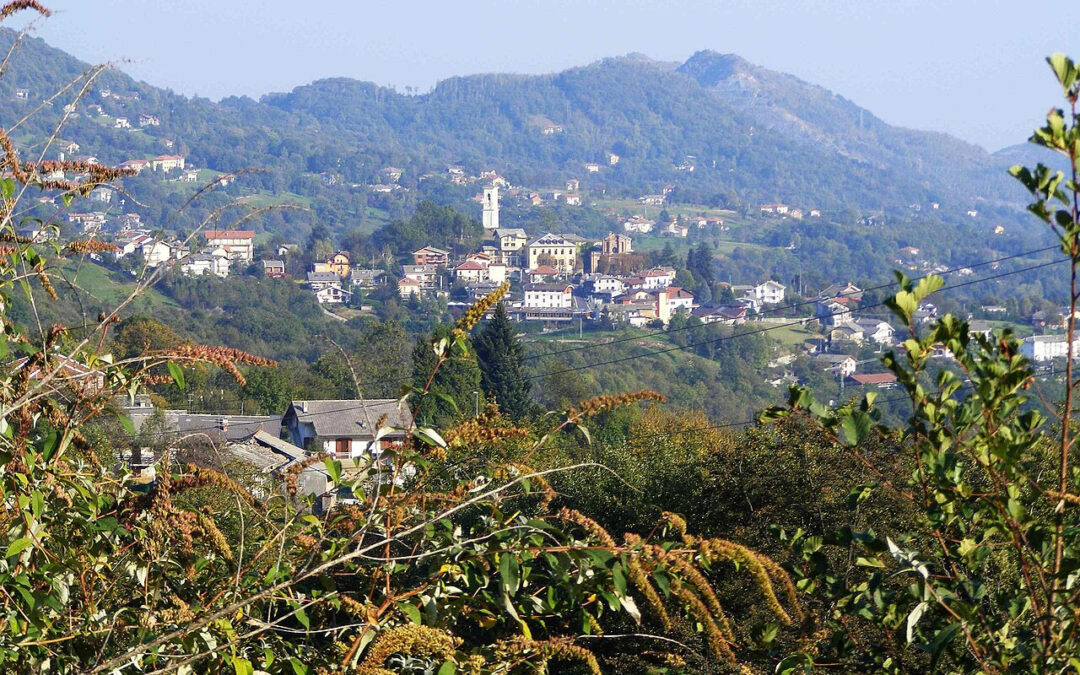 Traslochi locali a Coassolo Torinese